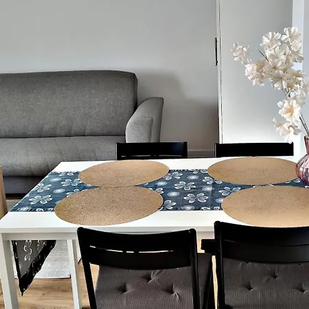Przy Parku Wyspianskiego Apartment *